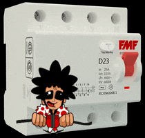 fmfelectric fmf d23 interruptor diferencial GIF
