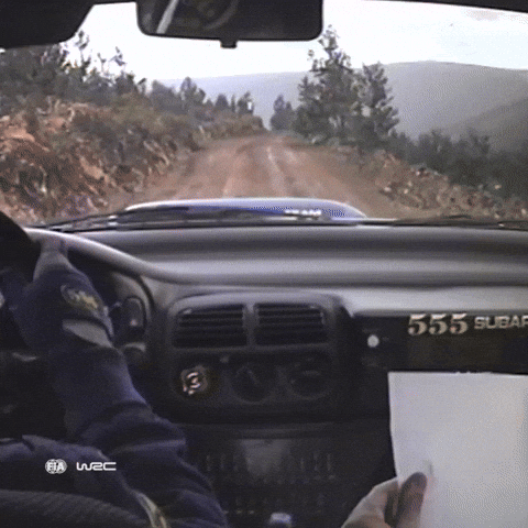 Driving Carlos Sainz GIF by FIA World Rally Championship