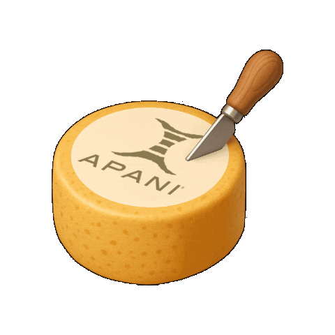 Apani Life Sticker by APANI