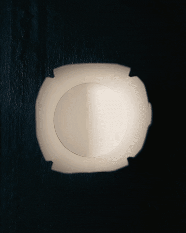 Burrito Loco GIF