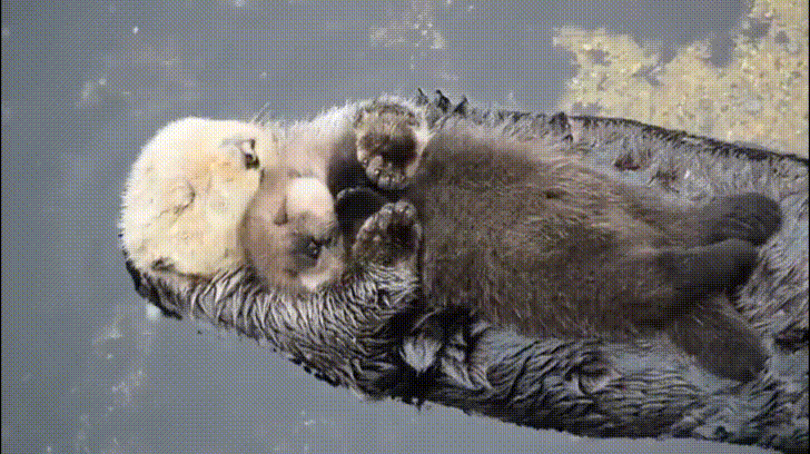 tonight GIF