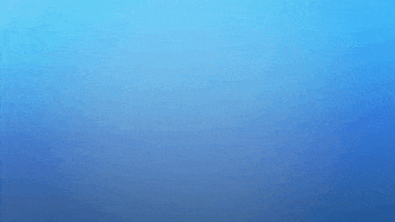 youvillehaussmannparkYHP GIF