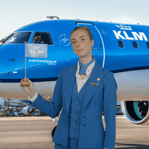 Cabin Crew Travel GIF by KLM