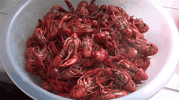 Video gif. We hover over a bowl full of steaming crawfish, ready to eat.