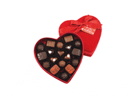 chocolaterie-vanvelzes-valentines-day-chocolates-OIGELOnAi1Ndlz3d49