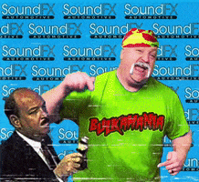 Hulk Hogan Delaware GIF by Sound FX