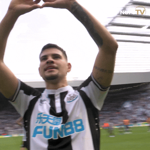 Newcastle United Sport GIF by Newcastle United Football Club - Find & Share  on GIPHY