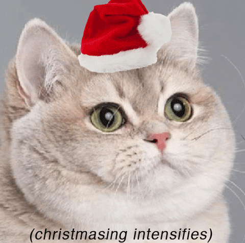 https://media2.giphy.com/media/OJp5pne69OeY/giphy.gif?cid=790b76114fb1a6c5205148707bb9dc65946df8ab5e76c8e3&rid=giphy.gif&ct=g