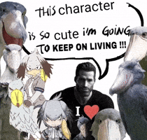 I Love Shoebill GIF