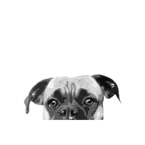 Animated Sticker
