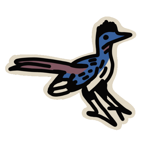 Bird Roadrunner Sticker