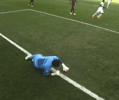 2014 world cup success GIF