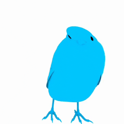 Bird GIF