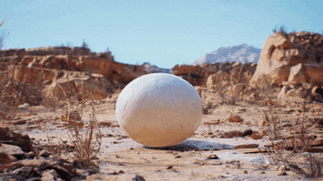 Surprise Egg GIF by Unreal Engine