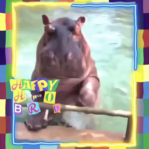 Celebrate Happy Birthday GIF by The3Flamingos