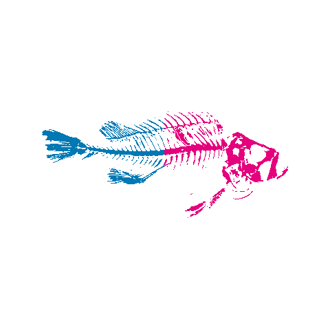 Fish Fruit Sticker by Baitlounge