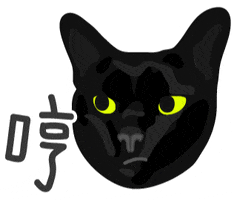 Angry Black Cat GIF