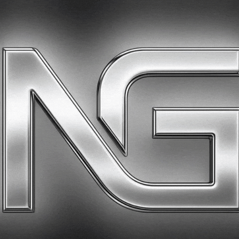 notgpt GIF