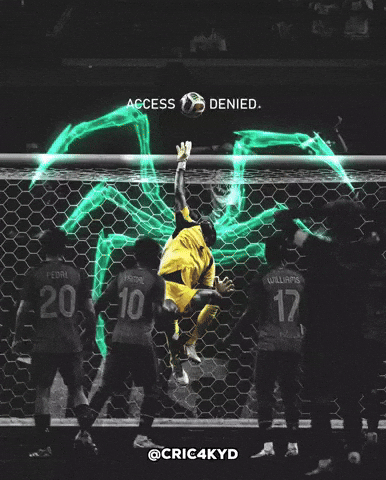 Fifa World Cup Football GIF