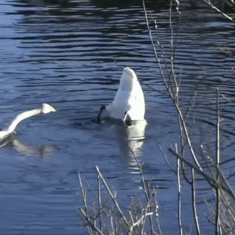 Fun Lol GIF by r&r