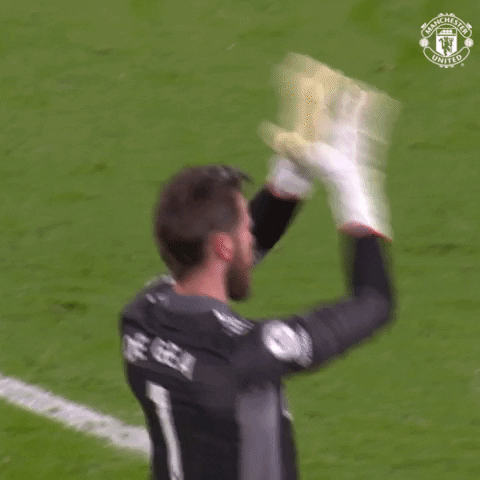 Happy Come On GIF by Manchester United - Find & Share on GIPHY