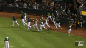 field GIF by MLB
