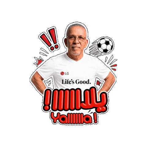 LG Electronics Gulf Sticker
