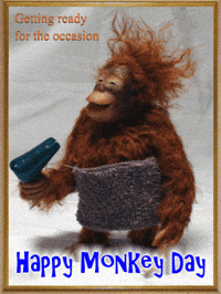 Funny Monkey Videos Gifs Get The Best Gif On Giphy