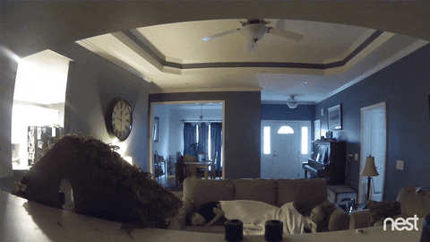 Broken Ceiling GIFs - Find & Share on GIPHY