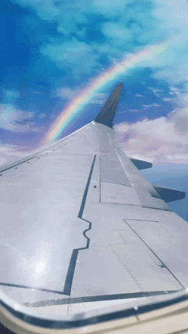 Fly Away Rainbow GIF