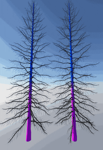 Terragen GIF
