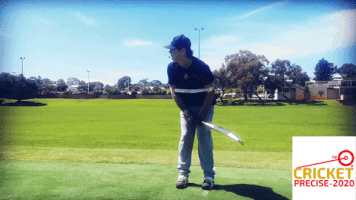 Cricket Precise GIF