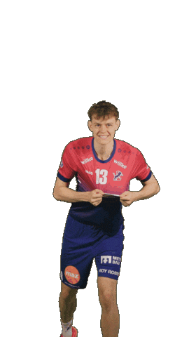 Deutschland Sticker by Volleyball Bundesliga