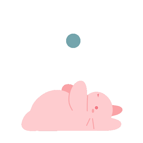 Cat Sticker