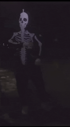 Minnesota Minneapolis GIF by Flowermouthe