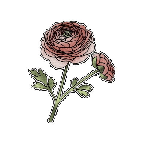 Flower Beutiful Sticker