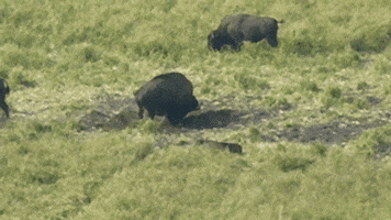 200.gif