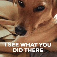 200w.gif