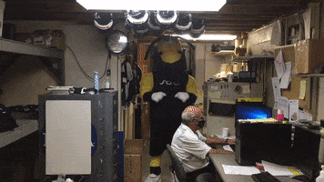 College Sports Mascots GIF by AIC Yellow Jackets