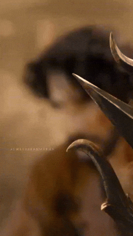 Mahesh Babu Film GIF