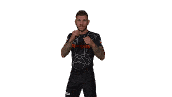 Mma Fighter Sticker by Rehasport