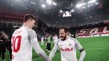 Champions League Hug GIF by FC Red Bull Salzburg