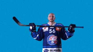 Noreau GIF by ZSC Lions
