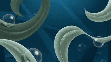 cutoutanimationstudio animation bubbles smooth underwater GIF
