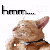 Thinking Lemme Think GIF
