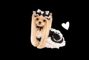 Yorkshire Terrier Love GIF