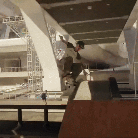 Skate Skateboard GIF