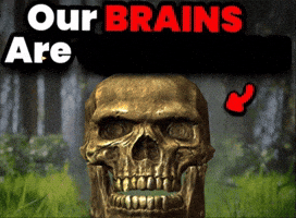 Skyrim GIF by Casa Misiones