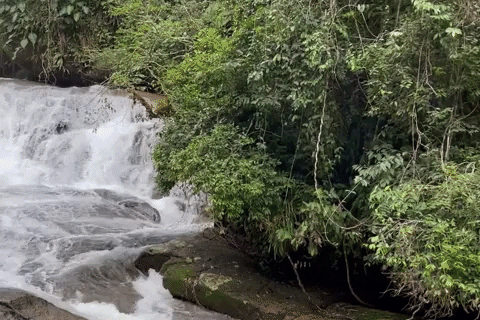 Cachoeira Pedra Branca em Paraty