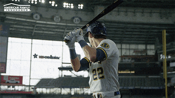 Milwaukee Brewers Baseball GIF by American Family Insurance